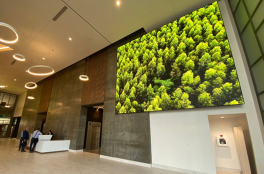 P1.95 HD LED Display Enriches The A