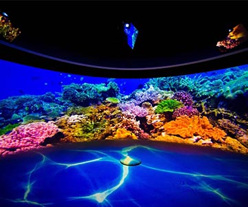 P2.5 Immersive LED Display: Dive Yo
