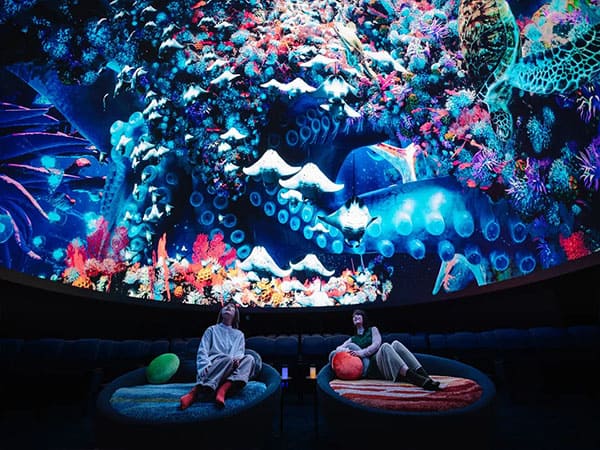 Revolutionizing Visual Experiences: The Dome LED Screens Customized by Milestrong