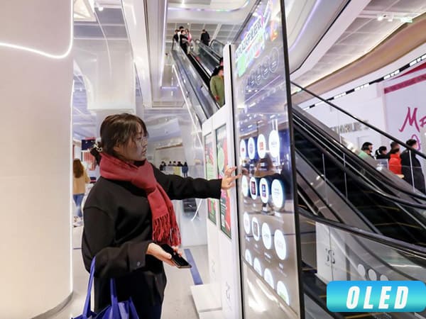 Enhancing Shopping Experience through Crystal-Clear OLED Displays in Mall Directo