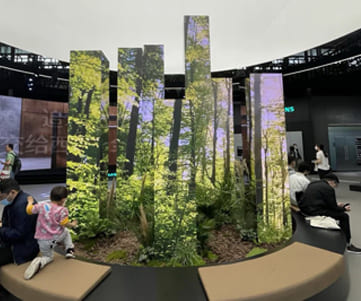Creating a Tech-Driven Forest: Squa