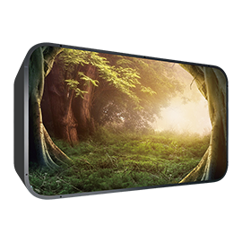 Immersive LED Display