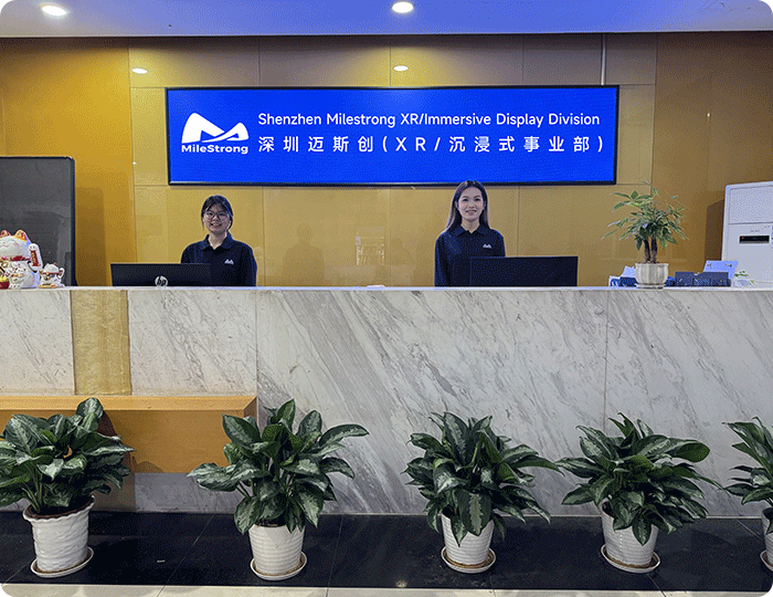 Shenzhen MileStrong