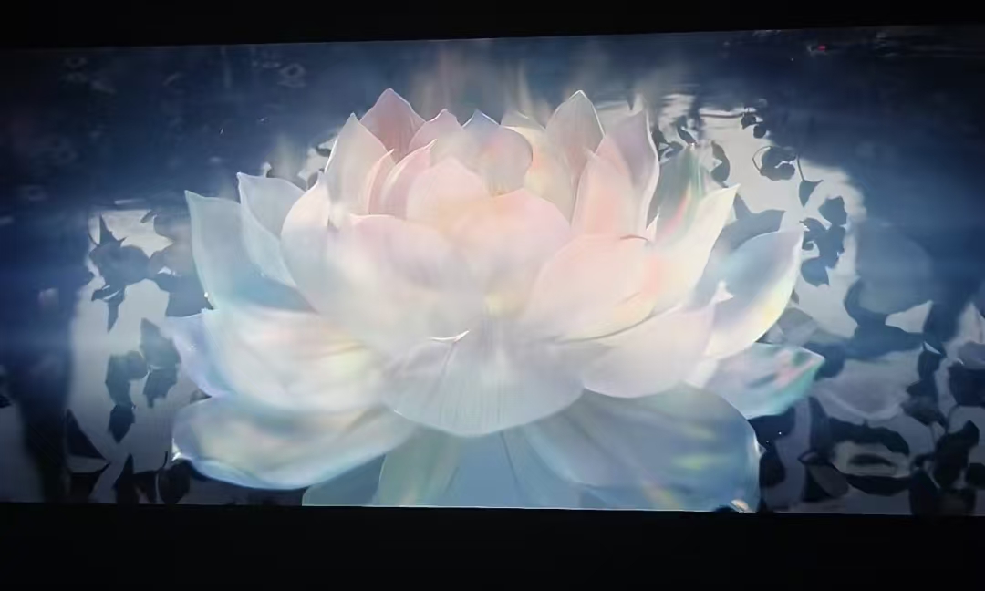 the led screen in cinema has vivid color
