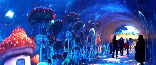 Welcome Immersive Tunnel led at the Park Entrance