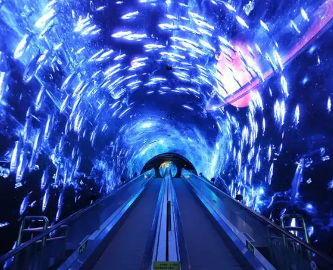 tunnel led display in Park Landscape Corridors